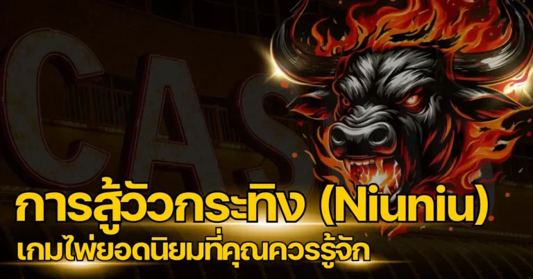 การสู้วัวกระทิง (Niuniu) เกมไพ่ยอดนิยมที่คุณควรรู้จัก 7 ปก การสู้วัวกระทิง