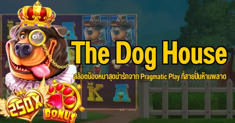 The Dog House สล็อตน้องหมาสุดน่ารักจาก Pragmatic Play ที่สายปั่นห้ามพลาด 2 ปก The Dog House